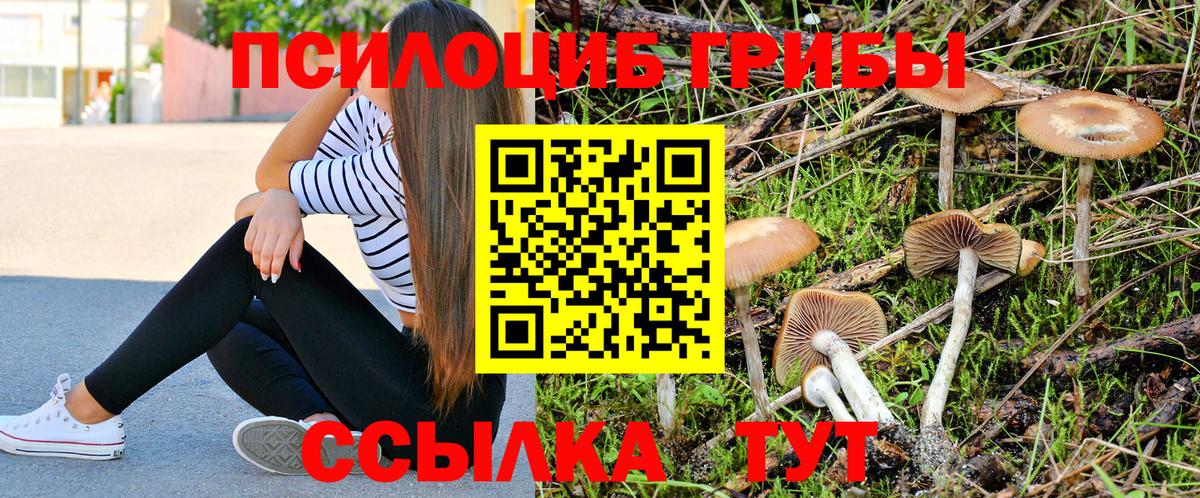 Псилоцибиновые грибы Cubensis  Галлюциногенные грибы Psilocybe  Сочи  Вход с VPN 